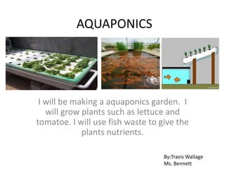 AQUAPONICS




 I will be making a aquaponics garden. I
   will grow plants such as lettuce and
tomatoe. I will use fish waste to give the
             plants nutrients.

                                   By:Travis Wallage
                                   Ms. Bennett
 