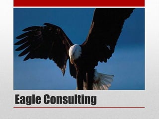 Eagle Consulting

 