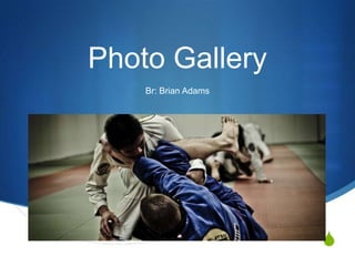 Photo Gallery
Br: Brian Adams

S

 