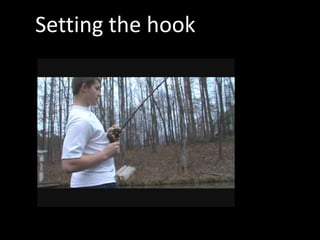 Setting the hook
 
