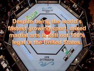 Despite being the world’s fastest growing sport, mixed martial arts is still not 100% legal in the United States. 
