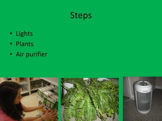 Steps
• Lights
• Plants
• Air purifier
 