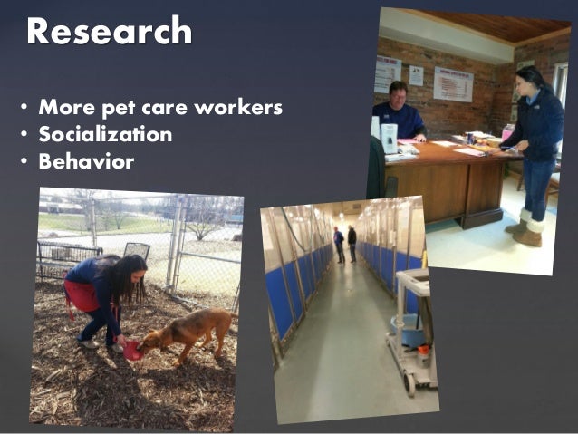senior project presentation