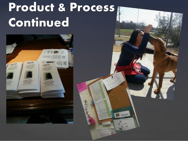 senior project presentation