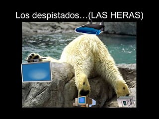 Los despistados…(LAS HERAS)
 