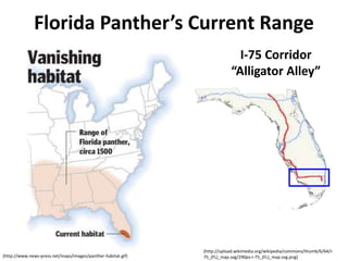 Florida Panther’s Current Range
                                                                            I-75 Corridor
                                                                          “Alligator Alley”




                                                              (http://upload.wikimedia.org/wikipedia/commons/thumb/6/64/I-
(http://www.news-press.net/maps/images/panther-habitat.gif)   75_(FL)_map.svg/290px-I-75_(FL)_map.svg.png)
 