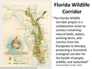 Florida Wildlife
                                                                            Corridor
                                                                       “The Florida Wildlife
                                                                         Corridor project is a
                                                                         collaborative vision to
                                                                         connect remaining
                                                                         natural lands, waters,
                                                                         working farms, and
                                                                         ranches from the
                                                                         Everglades to Georgia,
                                                                         protecting a functional
                                                                         ecological corridor for
                                                                         the health of people,
                                                                         wildlife, and watershed”
                                                                         (Florida Wildlife Corridor, 2012)
(http://www.floridawildlifecorridor.org/about-expedition/route-map/)
 