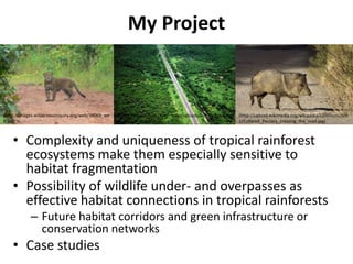 My Project



(http://images.wildernessinquiry.org/web/34069_we   (http://www.celsias.com/media/uploads/admin/Road_th   (http://upload.wikimedia.org/wikipedia/commons/6/6
b.jpg)                                              rough_the_Amazon.jpg)                                 1/Collared_Peccary_crossing_the_road.jpg)



    • Complexity and uniqueness of tropical rainforest
      ecosystems make them especially sensitive to
      habitat fragmentation
    • Possibility of wildlife under- and overpasses as
      effective habitat connections in tropical rainforests
            – Future habitat corridors and green infrastructure or
              conservation networks
    • Case studies
 