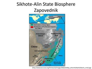 Sikhote-Alin State Biosphere
        Zapovednik




       (http://www.wcsrussia.org/Portals/32/Images/WebsiteMap_where%20we%20work_small.jpg)
 