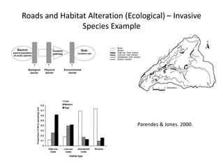 Roads and Habitat Alteration (Ecological) – Invasive
                Species Example




                                 Parendes & Jones. 2000.
 