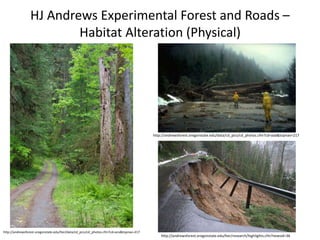 HJ Andrews Experimental Forest and Roads –
                         Habitat Alteration (Physical)




                                                                                         http://andrewsforest.oregonstate.edu/data/cd_pics/cd_photos.cfm?cd=aad&topnav=217




http://andrewsforest.oregonstate.edu/lter/data/cd_pics/cd_photos.cfm?cd=aco&topnav=217
                                                                                             http://andrewsforest.oregonstate.edu/lter/research/highlights.cfm?newsid=36
 