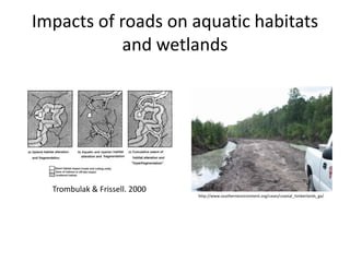Impacts of roads on aquatic habitats
            and wetlands




  Trombulak & Frissell. 2000
                               http://www.southernenvironment.org/cases/coastal_timberlands_ga/
 