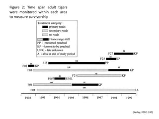 Figure 2: Time span adult tigers
were monitored within each area
to measure survivorship




                                   (Kerley, 2002: 100)
 