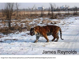 Image from: http://www.typhoonfury.com/Photo%20-%20Video%20gallery/harbin.html
 