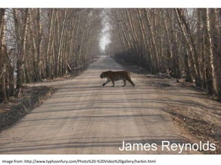 Image from: http://www.typhoonfury.com/Photo%20-%20Video%20gallery/harbin.html
 