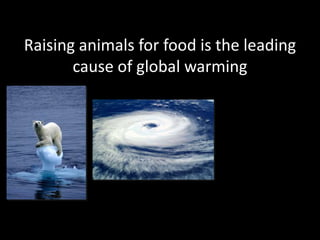 Raising animals for food is the leading cause of global warming