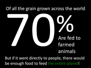 Of all the grain grown across the world70%Are fed to farmed animalsBut if it went directly to people, there would be enough food to feed the entire planet!