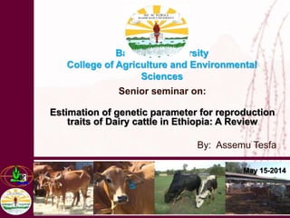 Bahir Dar University
College of Agriculture and Environmental
Sciences
Senior seminar on:
Estimation of genetic parameter for reproduction
traits of Dairy cattle in Ethiopia: A Review
By: Assemu Tesfa
May 15-2014
 