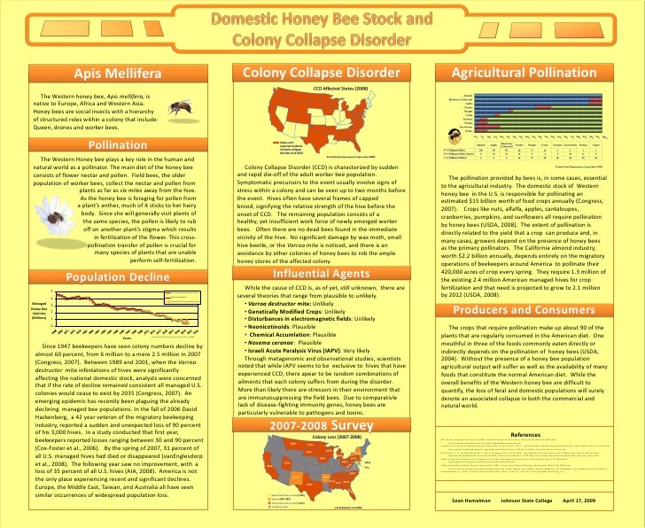 what are the effects of colony collapse disorder what are the effects of colony collapse disorder