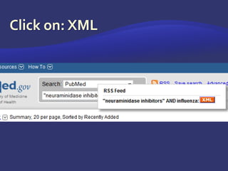 Click on: XML