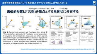 © KLab Inc.
生物の形質多様性はパレート集合としてモデリングできることが知られている
44
遺伝的形質は「元型」を頂点とする単体状に分布する
[Shoval+ 2012] Evolutionary Trade-Offs, Pareto Optimality, and the Geometry of Phenotype Space, Science, Vol. 336, Issue 6085, pp. 1157-1160
archetype＝1つの目的に特化した解 パレート集合
 