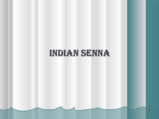 INDIAN SENNAINDIAN SENNA
22
 