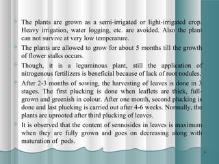 66
 The plants are grown as a semi-irrigated or light-irrigated crop.
Heavy irrigation, water logging, etc. are avoided. ...