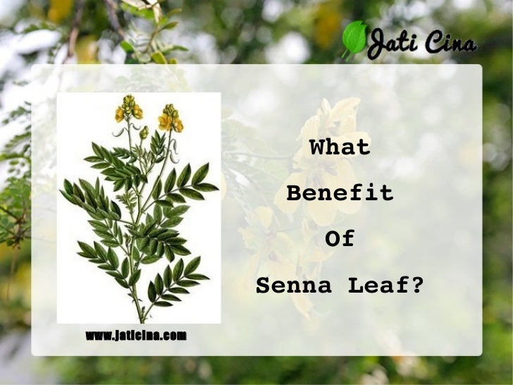 Senna Leaf Benefits