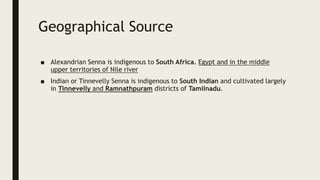 Geographical Source
■ Alexandrian Senna is indigenous to South Africa. Egypt and in the middle
upper territories of Nile river
■ Indian or Tinnevelly Senna is indigenous to South Indian and cultivated largely
in Tinnevelly and Ramnathpuram districts of Tamilnadu.
 