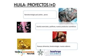 SENNOVA: nueva estrategia de investigación, desarrollo tecnológico e innovación del SENA