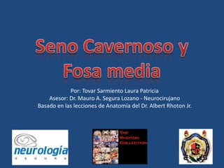 Por: Tovar Sarmiento Laura Patricia
    Asesor: Dr. Mauro A. Segura Lozano - Neurocirujano
Basado en las lecciones de Anatomía del Dr. Albert Rhoton Jr.
 