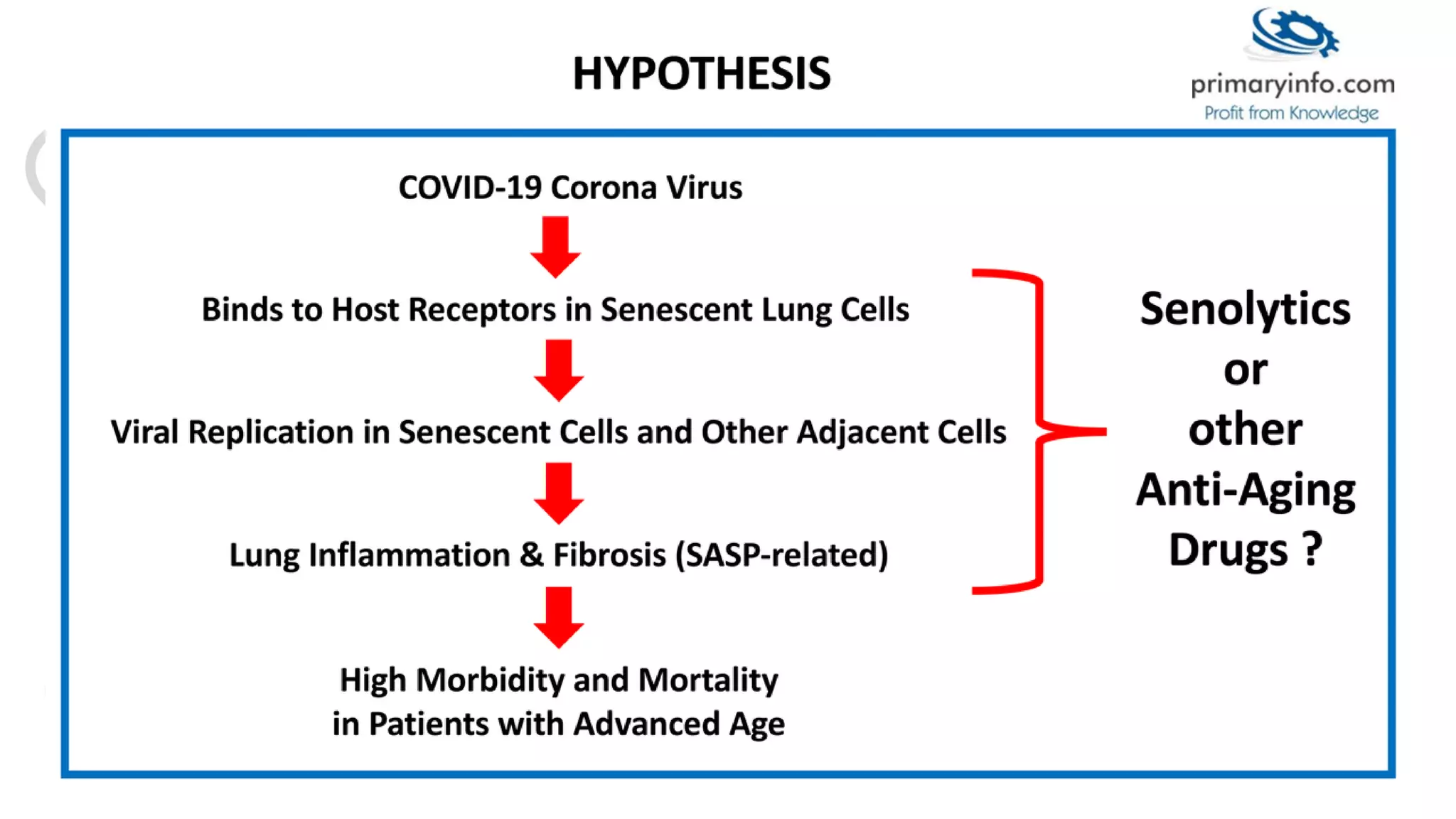 Senolytic Drugs