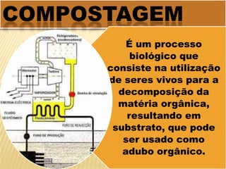 Conceito de sustentabilidade;