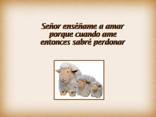 Señor enséñame a amar porque cuando ame entonces sabré perdonar
