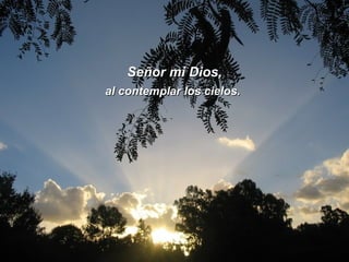 Señor mi Dios, al contemplar los cielos. 