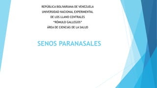 SENOS PARANASALES
REPÚBLICA BOLIVARIANA DE VENEZUELA
UNIVERSIDAD NACIONAL EXPERIMENTAL
DE LOS LLANO CENTRALES
“RÓMULO GALLEGOS”
ÁREA DE CIENCIAS DE LA SALUD
 