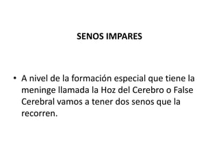 SENOS IMPARES
• A nivel de la formación especial que tiene la
meninge llamada la Hoz del Cerebro o False
Cerebral vamos a tener dos senos que la
recorren.
 
