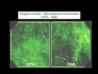 Imagens Landsat  - Desmatamento na Amazônia (1975 - 1986) 