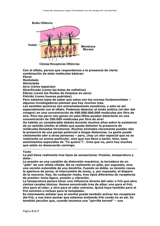 SensacióN Y PercepcióN