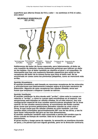SensacióN Y PercepcióN