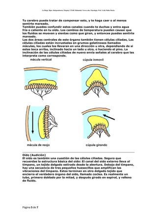 SensacióN Y PercepcióN