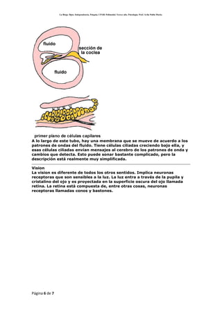 SensacióN Y PercepcióN
