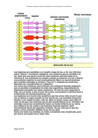 SensacióN Y PercepcióN