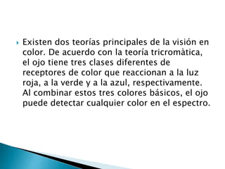  Existen dos teorías principales de la visión en
color. De acuerdo con la teoría tricromàtica,
el ojo tiene tres clases diferentes de
receptores de color que reaccionan a la luz
roja, a la verde y a la azul, respectivamente.
Al combinar estos tres colores básicos, el ojo
puede detectar cualquier color en el espectro.
 
