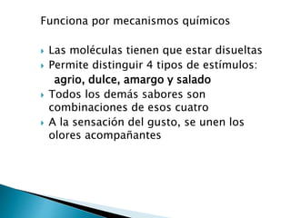 Funciona por mecanismos químicos
 Las moléculas tienen que estar disueltas
 Permite distinguir 4 tipos de estímulos:
agrio, dulce, amargo y salado
 Todos los demás sabores son
combinaciones de esos cuatro
 A la sensación del gusto, se unen los
olores acompañantes
 