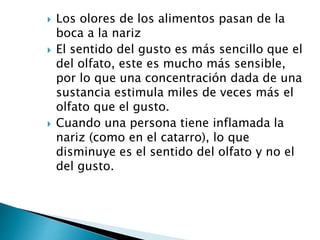  Los olores de los alimentos pasan de la
boca a la nariz
 El sentido del gusto es más sencillo que el
del olfato, este es mucho más sensible,
por lo que una concentración dada de una
sustancia estimula miles de veces más el
olfato que el gusto.
 Cuando una persona tiene inflamada la
nariz (como en el catarro), lo que
disminuye es el sentido del olfato y no el
del gusto.
 
