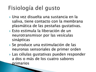  Una vez disuelta una sustancia en la
saliva, tiene contacto con la membrana
plasmática de las pestañas gustativas.
 Esto estimula la liberación de un
neurotransmisor por las vesículas
sinápticas
 Se produce una estimulación de las
neuronas sensoriales de primer orden
 Las células gustativas pueden responder
a dos o más de los cuatro sabores
primarios
 