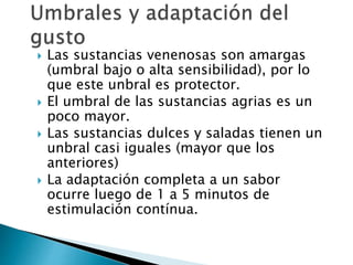 Las sustancias venenosas son amargas
(umbral bajo o alta sensibilidad), por lo
que este unbral es protector.
 El umbral de las sustancias agrias es un
poco mayor.
 Las sustancias dulces y saladas tienen un
unbral casi iguales (mayor que los
anteriores)
 La adaptación completa a un sabor
ocurre luego de 1 a 5 minutos de
estimulación contínua.
 