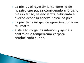 La piel es el revestimiento externo de
nuestro cuerpo, es considerado el órgano
más extenso, se encuentra cubriendo el
cuerpo desde la cabeza hasta los pies.
 La piel tiene un grosor aproximado de un
milímetro.
 aísla a los órganos internos y ayuda a
controlar la temperatura corporal
produciendo sudor.
 