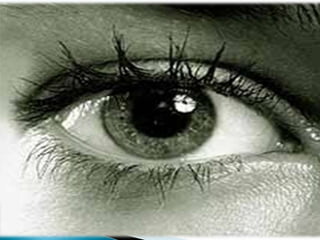  EL SENTIDO DE LA VISTA
 